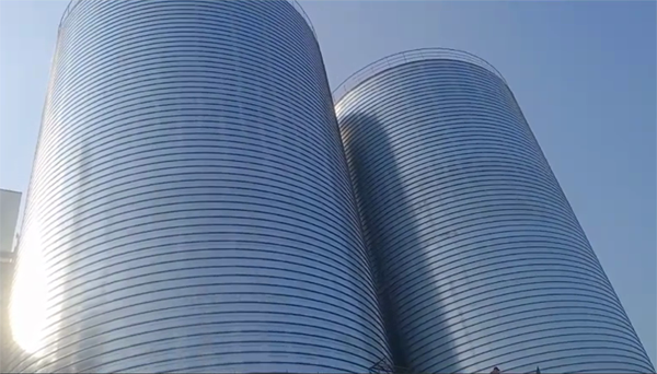 鄂伦春2座混凝土高架卷板仓